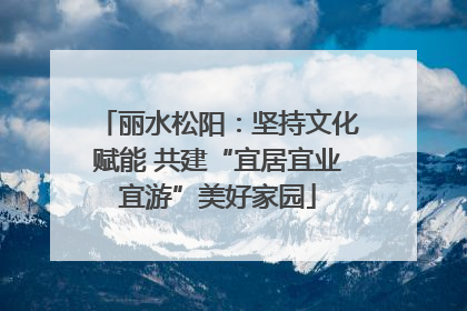 丽水松阳：坚持文化赋能 共建“宜居宜业宜游”美好家园